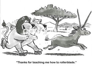 BW cartoon of a lion on rollerblades chasing a gazelle, the lion thanks the bear for teaching it how to rollerblade.