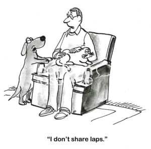 BW cartoon of a cat resting on the male owner's lap. The dog wants up, but he does not 'share laps'.