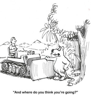 BW cartoon showing a wild bear stopping the bulldozer from destroying the woods.
