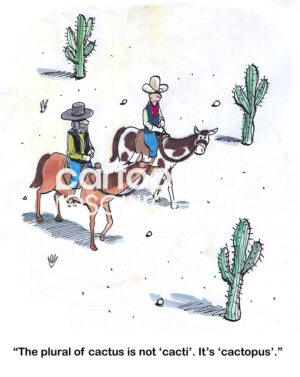 Color cartoon of two cowboys discussing the plural form of 'cactus'.