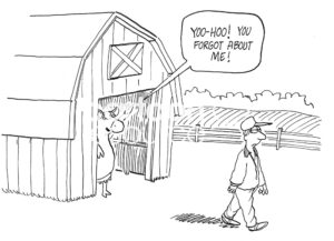 BW cartoon of a farmer who forgot to milk one of the cows.