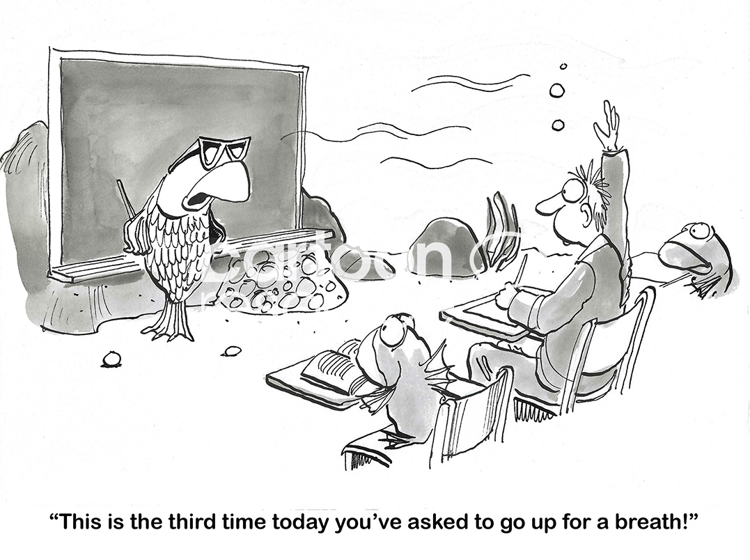 BW cartoon of a fish school. The fish teacher is irritated that the human needs to go up for air.