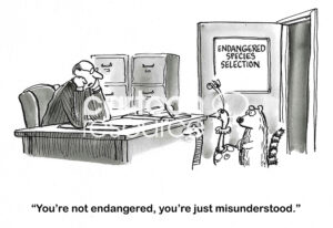 BW cartoon of several animals trying to get into the 'endangered' category. The scientist tells them they are not endangered, rather they are misunderstood