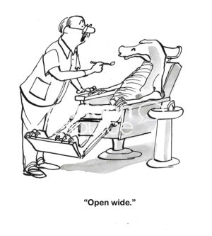 BW cartoon of a male dentist starting to work on an alligator's teeth.