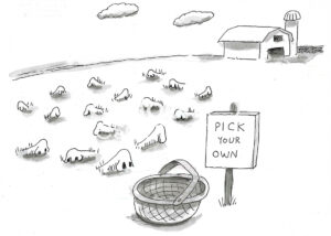 BW cartoon of many noses growing from the ground at the farm. The farmstand sign states 'pick your own'.
