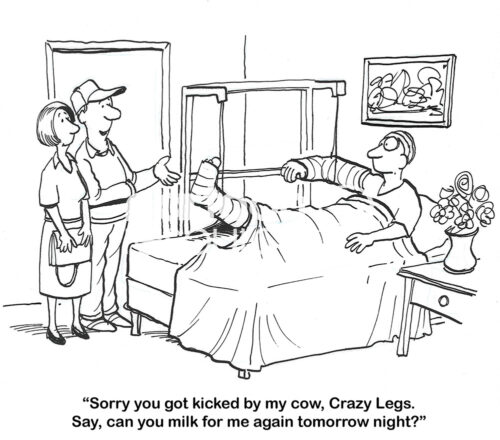 BW cartoon of a farm worker in a hospital bed with broken bones because a cow kicked him. The farmer is hoping the worker will help him out tomorrow as well.