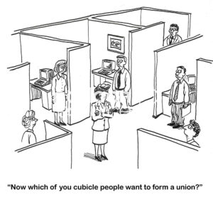 BW cartoon showing managers in office cubicles and a female, senior leader asking if they are going to form a union.