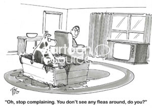 BW cartoon showing a very messy pig in his owner's living room. The pig retorts that there are now no fleas, even though there is mess.
