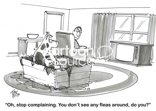 BW cartoon showing a very messy pig in his owner's living room. The pig retorts that there are now no fleas, even though there is mess.