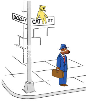 Color, single-panel cartoon showing a professional, office dog standing on "Cat Street". There is a yellow cat sitting on top of the street sign watching the dog.